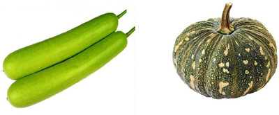 CYBEXIS Combo of Pumpkin and Bottle Gourd - Long Seed(10 g)