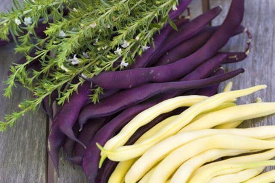 CRGO BEANS Seed(40 per packet)