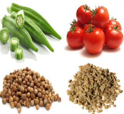 Aywal Bhindi Okra and Tomato Seed(30 per packet)
