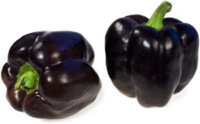 KNESSiN Black Capsicum Sweet Bell Pepper Seeds-[300mg] Seed(50 per packet)