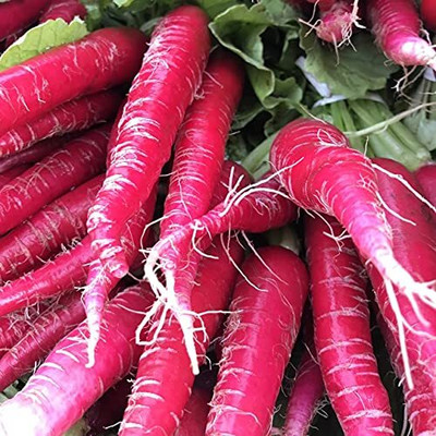 Aywal Raddish / Muli / Mooli43 Seed(100 per packet)