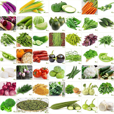 CRGO VEGETABLE COMBO Seed(4200 per packet)