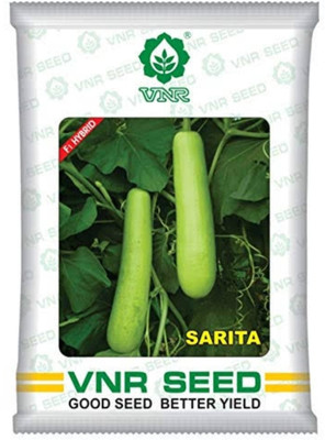 HYBRID VNR Hybrid bottle guard (lauki) seeds highest yield Verity early fruit green Seed(1 per packet)