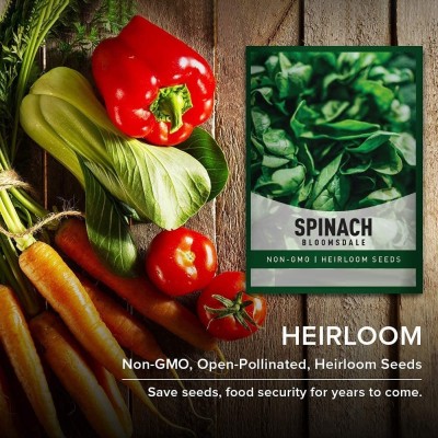 Qualtivate ICRA-7A Bloomsdale Spinach Seeds Seed(300 per packet)