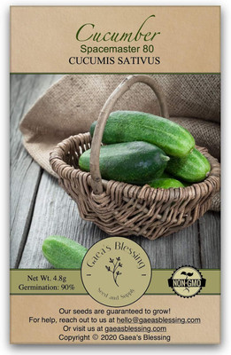 Qualtivate HUA-3A Spacemaster Cucumber Seed(300 per packet)