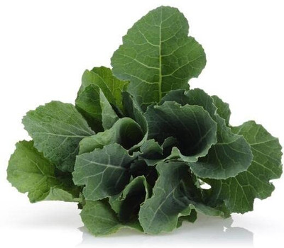 WILLVINE HAR -XII Curled Kale Leafy Vegetable Seeds [2.5g] Seed(750 per packet)