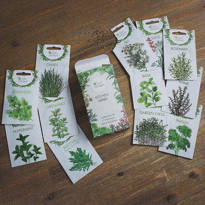 CYBEXIS 12 Varieties Herb Seed Mix, Spice Seeds and Herb Set Seed(10 g)