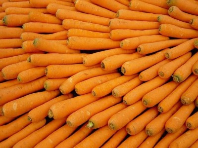 Qualtivate GBPT-7A Scarlet Nantes Carrot Seed(300 per packet)