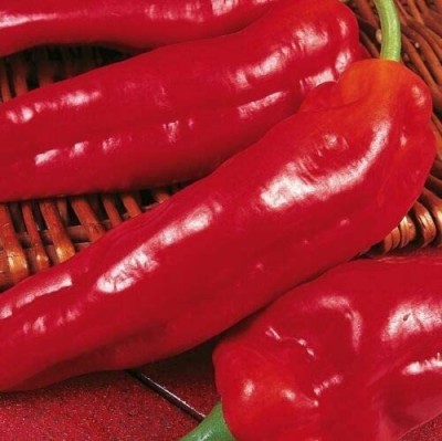 CYBEXIS Organic Sweet - Long Red Marconi Chilli2400 Seeds Seed(2400 per packet)