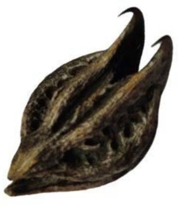 imtion Garuda Mukku / Bat Head Roots Seed(20 per packet)