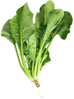 Kodali 42 Pcs-Spinach Pui Shak Seeds Seed(42 per packet)