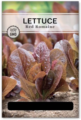 Quentova Red Romaine Lettuce 2.5gm Seed(2000 per packet)