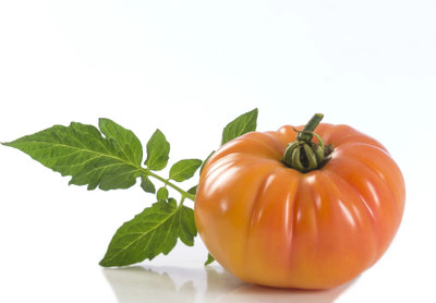 VRAKSHA HAMSON TOMATO Seed(1500 per packet)