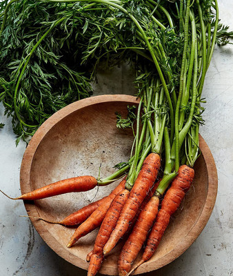 CYBEXIS LXI-39 - Scarlet Nantes Carrot - (2250 Seeds) Seed(2250 per packet)