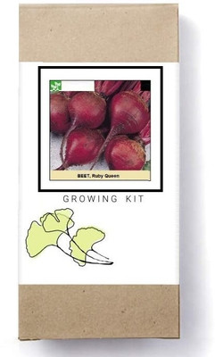 Biosnyg Ruby Queen Beetroot-[250 Seeds] Seed(250 per packet)