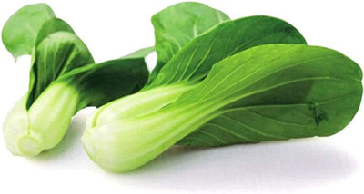 CYBEXIS Rare White Cabbage Seeds2000 Seeds Seed(2000 per packet)