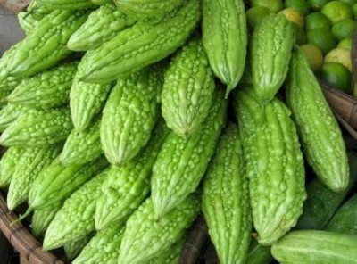 AloGardening Hybrid Bitter Gourd (Karela) F1 Hybrid Seeds Seed(24 per packet)