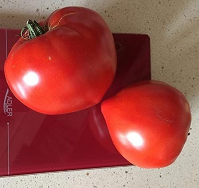 Biosnyg Organic Red Budenovka Tomato Seeds For Growing - (2000 Seeds) Seed(2000 per packet)