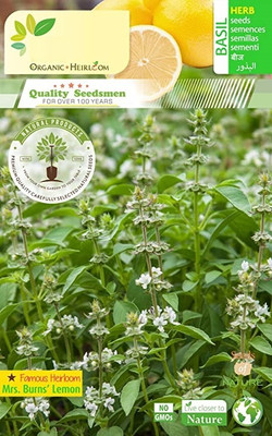 Qualtivate GBPUT-2 Basil- Mrs Burns Lemon seeds Seed(1000 per packet)