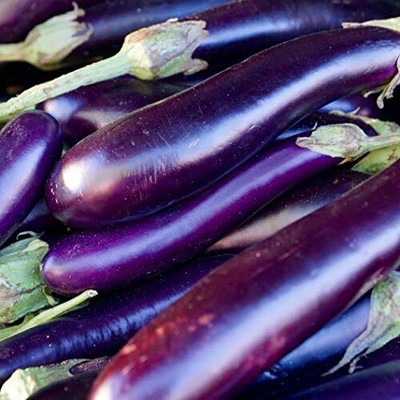 Qualtivate PUA-3A Brinjal Long Purple Seed(300 per packet)