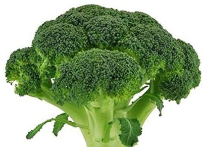 CYBEXIS KGF -54 - Broccoli Vegetable Gardening - (150 Seeds) Seed(150 per packet)