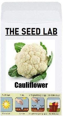 KNESSiN Cauliflower Seed(200 per packet)