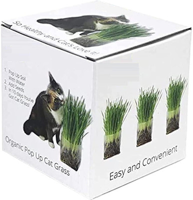VibeX NDIR-85 - Pet/Cat Grass - (13500 Seeds) Seed(13500 per packet)
