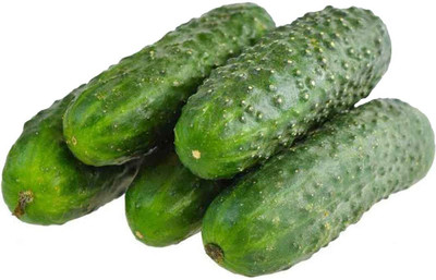 WILLVINE Pickles Cucumber Seeds-[1000 Seeds] Seed(1000 per packet)