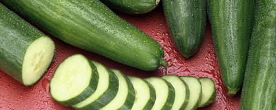 CYBEXIS LX-13 - Rare Cucumber Emelya Giant Long - (1350 Seeds) Seed(1350 per packet)