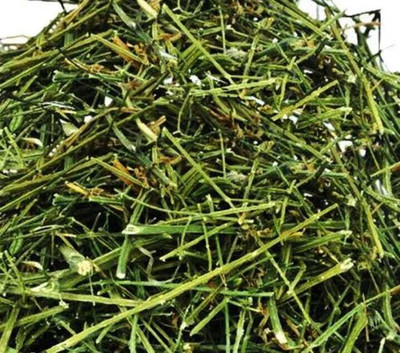 VKT Chireitta, chirayta Seed(100 per packet)