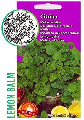 CYBEXIS Imported F1 Hybrid Lemon Balm Seeds-100 Seeds Seed(100 per packet)