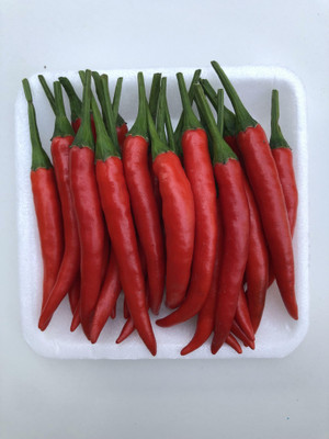 MOGEX Thai Premium Red Chilli Seed(400 per packet)