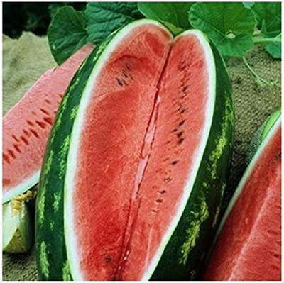 CYBEXIS HUA-65 - Watermelon Allsweet (Red) - (150 Seeds) Seed(150 per packet)