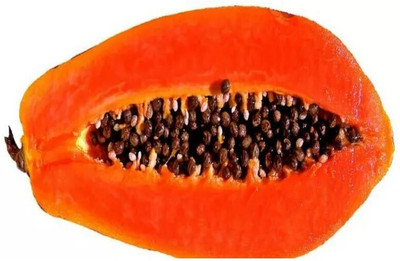 Farmonix Florida Royale Papaya Seeds Seed(20 per packet)