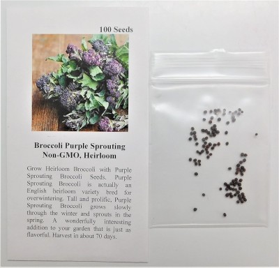 Qualtivate PUA-4A Broccoli Purple (Purple) Seed(300 per packet)