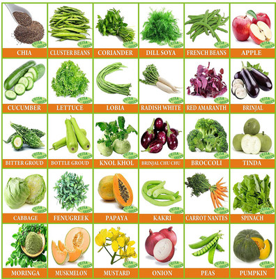CYBEXIS 30 Varieties of Vegetable Seeds Combo Seed(10 g)