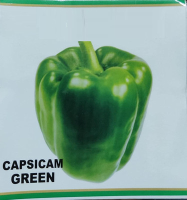CYBEXIS XLR-23 - Natural Green Capsicum - (1350 Seeds) Seed(1350 per packet)