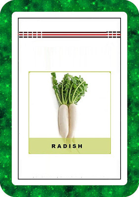 CYBEXIS Radish White600 Seeds Seed(600 per packet)