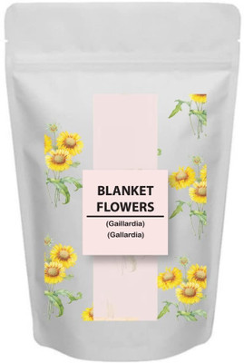 Qualtivate XLL-110 Gaillardia Blanket Flower Seeds Seed(50 per packet)