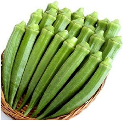 LPR LADY FINGER, (BINDI) Seed(20 per packet)