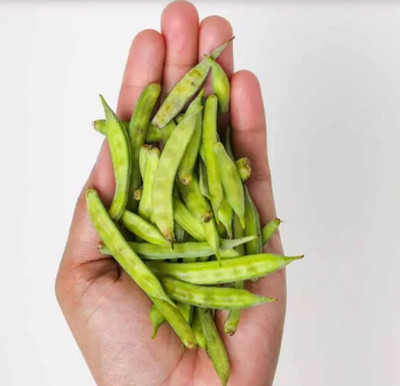 Avysa ग्वार फली (Cluster Beans) Seed(150 per packet)