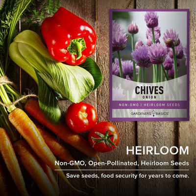 CYBEXIS PUAS-9 - Chives Herb - (750 Seeds) Seed(750 per packet)
