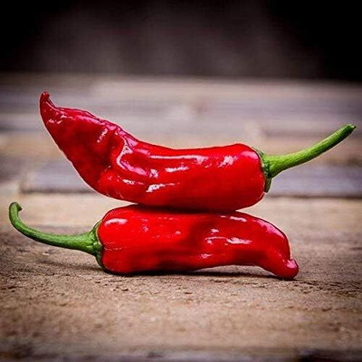KNESSiN Disease-Resistant Red Pepperoncini Pepper Seeds for Home Gardening-(1200 Seeds) Seed(1200 per packet)