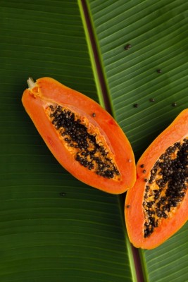 Farmonix Papaya Seeds Seed(150 per packet)