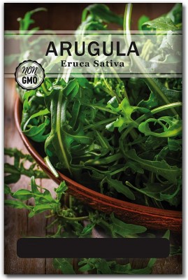 Qualtivate LXI-140 Slow Bolt Arugula Seed(500 per packet)