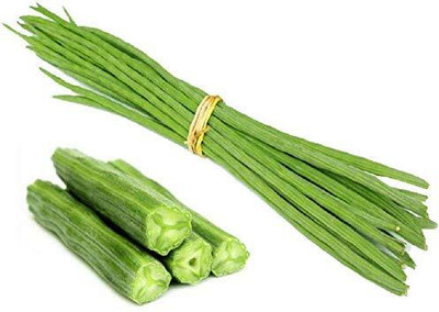 Qualtivate ICRA6-A Moringa ODC 4 Seed(50 per packet)