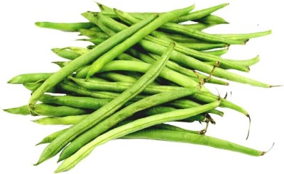 AloGardening Beans Seed(160 per packet)