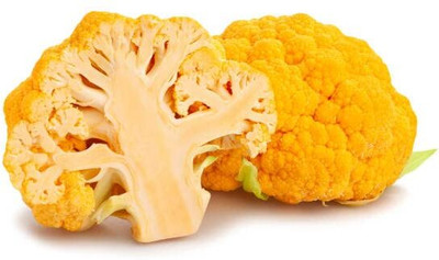 WILLVINE SCI -XII Yellow Cauliflower For Home Garden[10g, 3000 Seeds] Seed(3000 per packet)