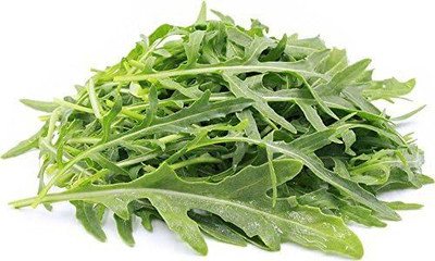 Qualtivate HUA-13 Wild Rocket Arugula Seeds Seed(500 per packet)