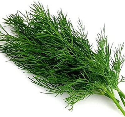 Mozette Organic soya dill Seed(40 per packet)